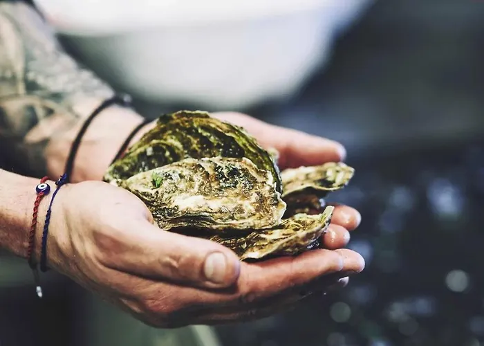 Mykonos Kosmoplaz Hotel