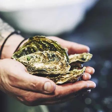 Mykonos Kosmoplaz Otel